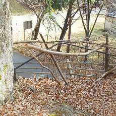 201206_p64.jpg