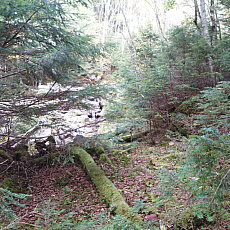 210930_p01.jpg