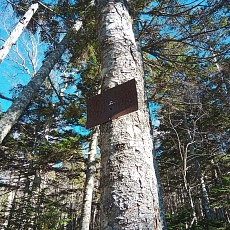 221028_p12.jpg