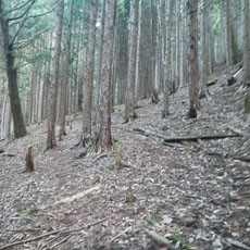 230414_p06.jpg