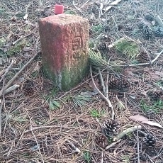 230414_p09.jpg
