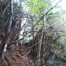 230520_p11.jpg