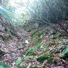 241112_p10.jpg