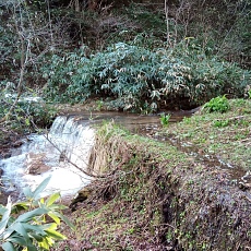 240530_p25.jpg
