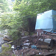 110615_p01.jpg