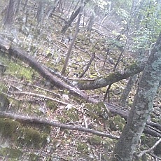 141004_p31.jpg