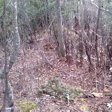 141004_p32.jpg