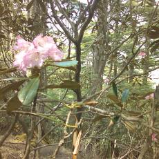 150522_p07.jpg