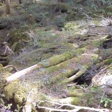 150522_p17.jpg