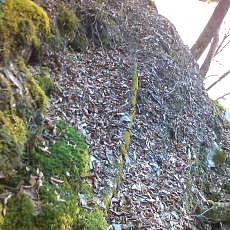 151207_p09.jpg