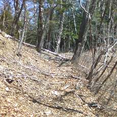 160419-02_p06.jpg