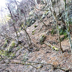 161215_p06.jpg