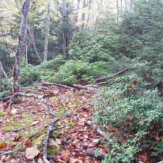 181006_p11.jpg