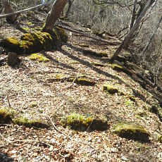 190505_p24.jpg