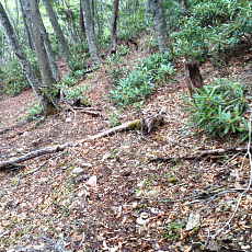 200024_p33.jpg