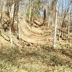 201220_p10.jpg