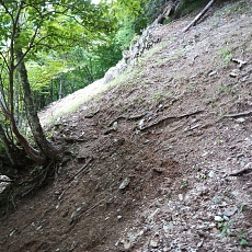 220618_p46.jpg