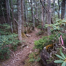 220618_p06.jpg
