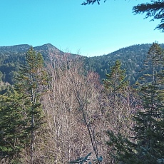 221028_p38.jpg