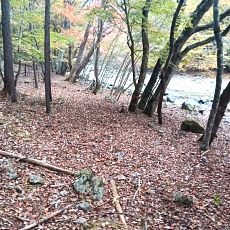 231030_p22.jpg