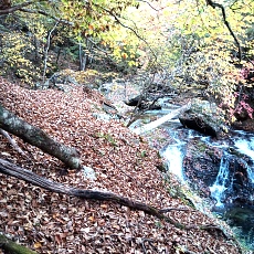 231030_p39.jpg