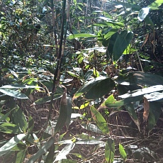 241022_p25.jpg