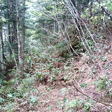 240612_p39.jpg