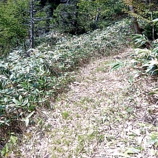 240612_p52.jpg