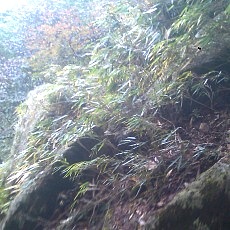 131006_p12.jpg