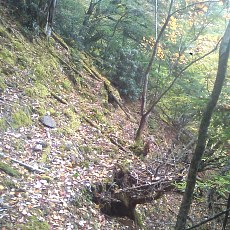 141004_p09.jpg