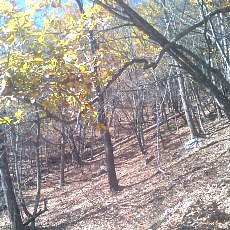 141103_p11.jpg