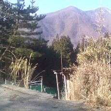 150330_p07.jpg