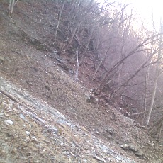 150330_p10.jpg