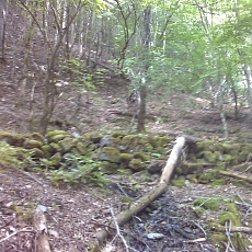 150605_p08.jpg