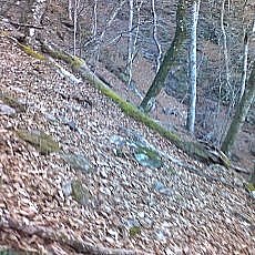 151207_p10.jpg