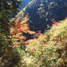 161029_p19.jpg