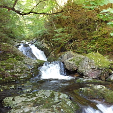 170903_p02.jpg