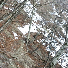 180303_p08.jpg