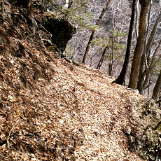 190427_p11.jpg