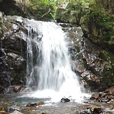 200621_p10.jpg