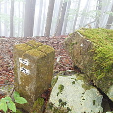210522_p12.jpg