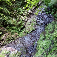 230618_p13.jpg