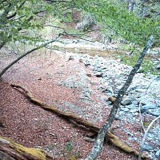 230502_p29.jpg