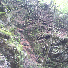 110615_p02.jpg