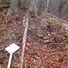 130303_p06.jpg