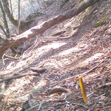 130428_p04.jpg