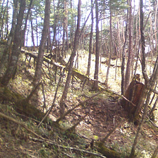 130506_p14.jpg
