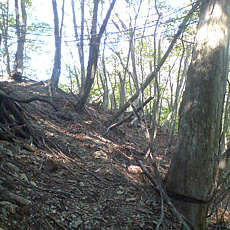 130517_p10.jpg