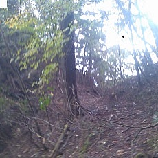 131006_p11.jpg