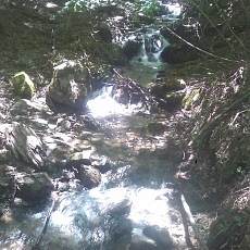 140614_p08.jpg